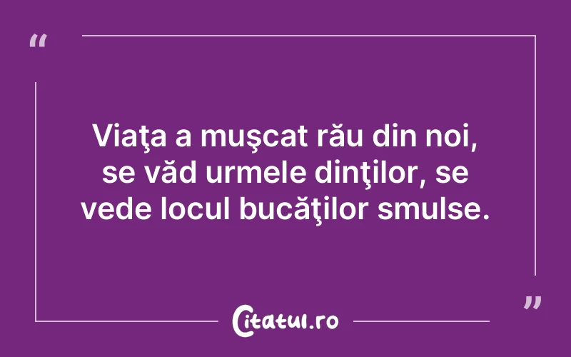 Citat Autor necunoscut - citate viata