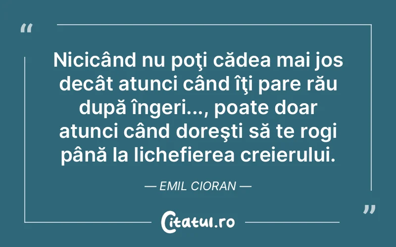 Citat Emil Cioran - citate viata
