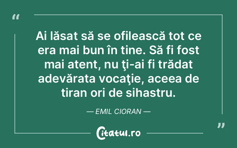 Citat Emil Cioran - citate viata