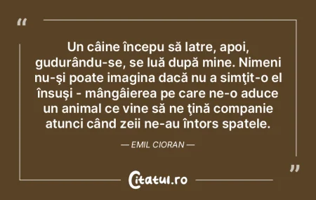 A căuta un sens vreunui lucru ţine nu ...