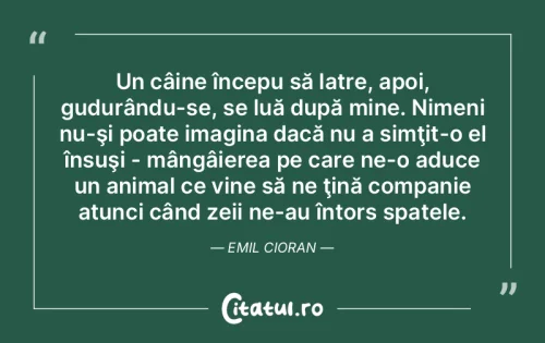 Citat Viață - Citatul.ro