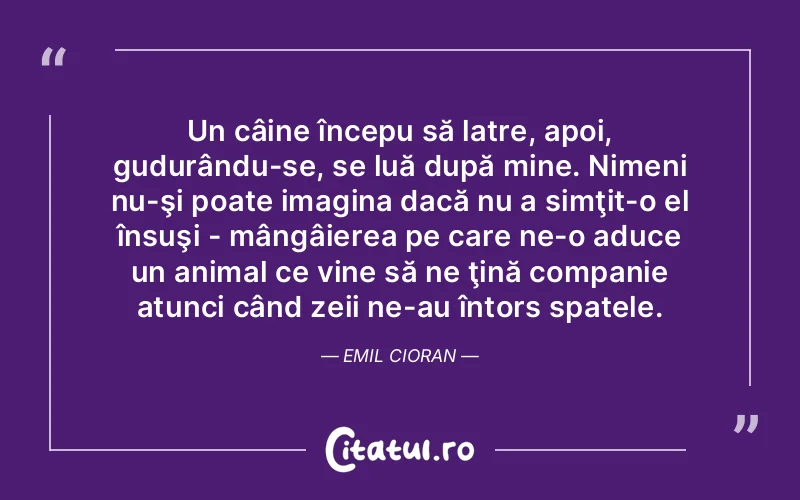 Citat Autor necunoscut - citate viata