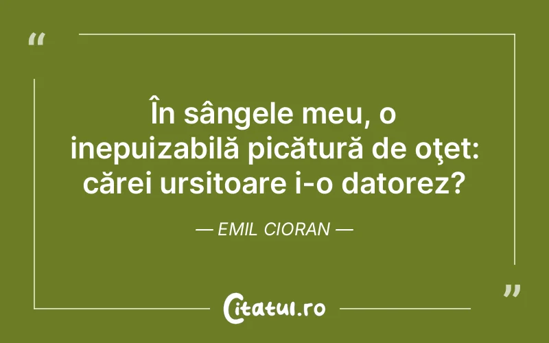 Citat Emil Cioran - citate viata