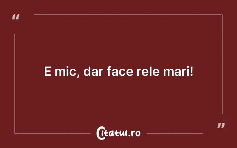 Citat Autor necunoscut - citate viata