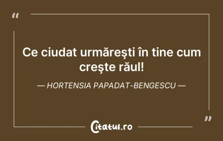 Prefer claritatea și frumusețea expres...