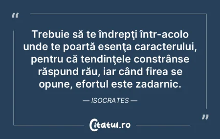 Indiferenţa şi neglijarea fac de multe... Indiferenţa şi neglijarea fac de multe...