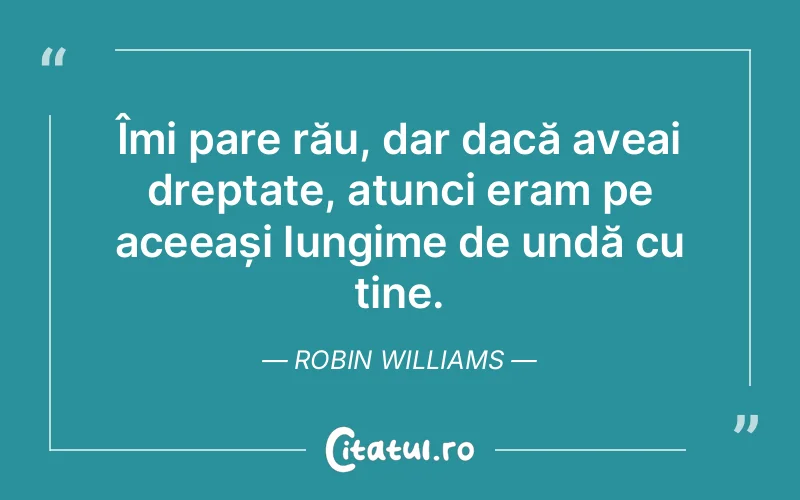 Citat Robin Williams - citate viata