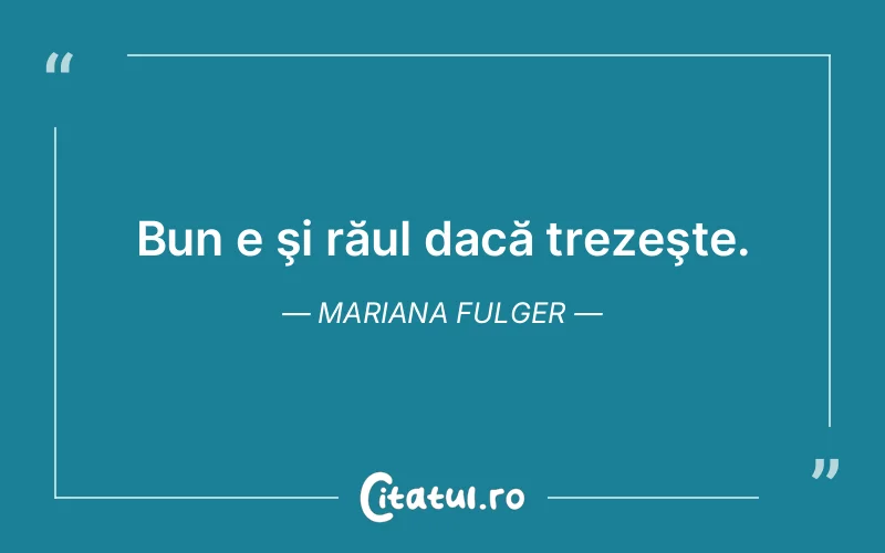 Citat Mariana Fulger - citate viata