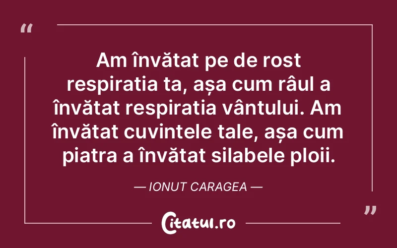 Citat Ionut Caragea - citate viata