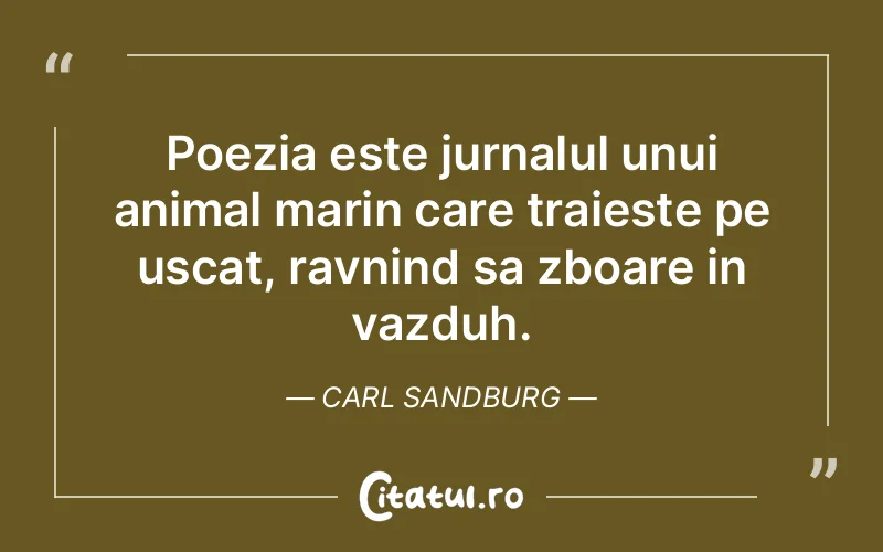 Citat Carl Sandburg - citate viata