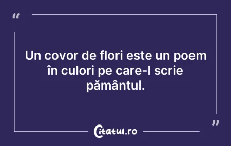 Poeții sunt la fel ca proverbele, mereu...