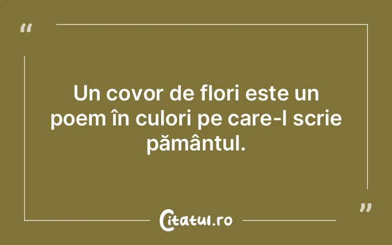 Citat Autor necunoscut - citate viata