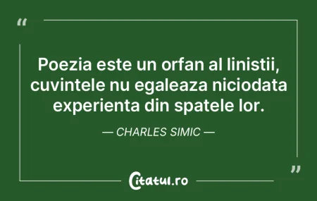 Azi scriem poezia pe mari bucati de pain... Azi scriem poezia pe mari bucati de pain...
