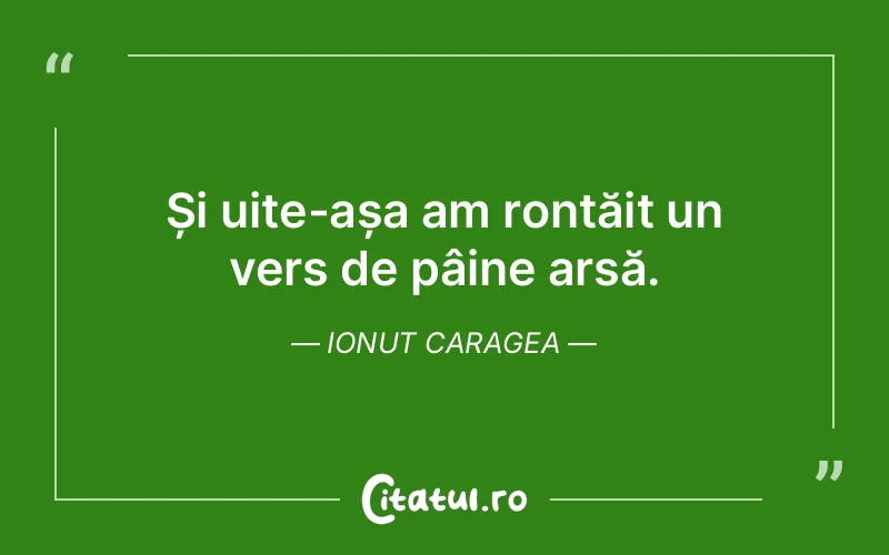 Citat Ionut Caragea - citate viata