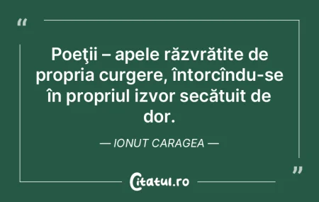 Oricce poet care supravietuieste varstei... Oricce poet care supravietuieste varstei...