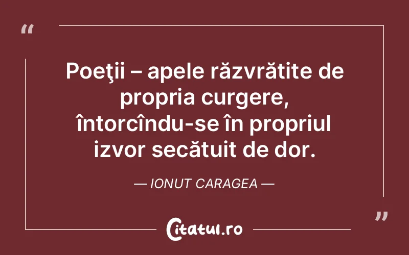 Citat Ionut Caragea - citate viata
