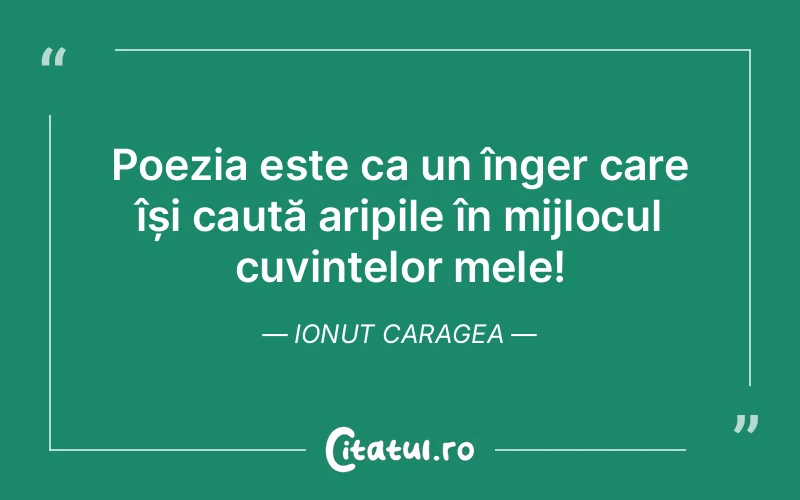 Citat Ionut Caragea - citate viata