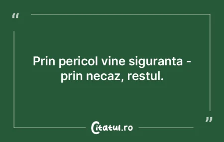 Marii poeți merg direct la esență. Es... Marii poeți merg direct la esență. Es...
