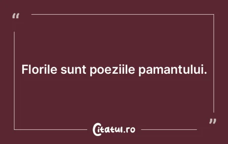 Poetul nu este atat un mantuitor, cat un...