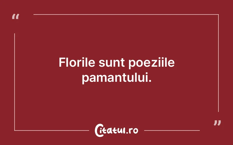 Citat Autor necunoscut - citate viata