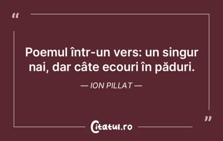 Muzica este poezia aerului. Jean Paul Muzica este poezia aerului. Jean Paul