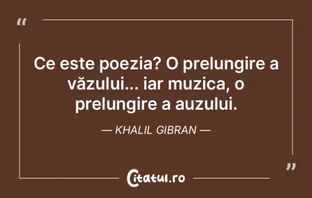 Pictura este poezie care se observă mai... Pictura este poezie care se observă mai...