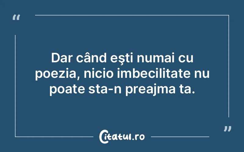 Dar când eşti numai cu poezia, nicio imbecilitate nu poate sta-n preajma ta.