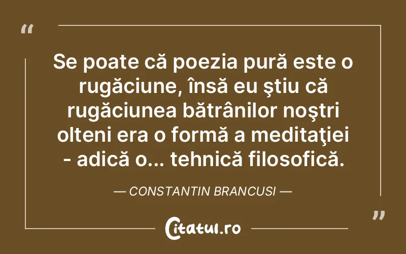 Citat Constantin Brancusi - citate viata