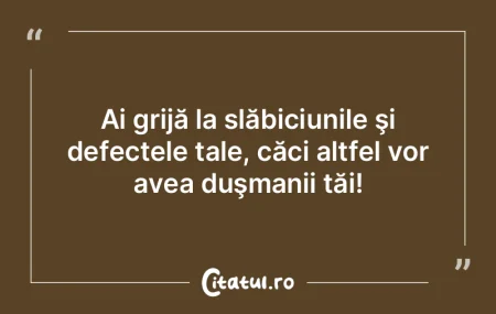 Dacă n-am fi atât de atenţi la defect...