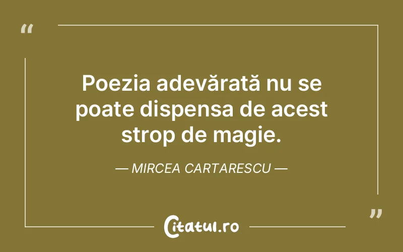 Citat Mircea Cartarescu - citate viata