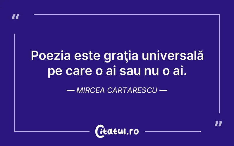 Citat Mircea Cartarescu - citate viata