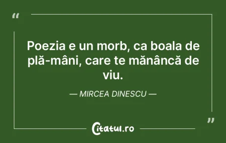 Poezia ţine, totuşi, de-o vârstă. Ş... Poezia ţine, totuşi, de-o vârstă. Ş...