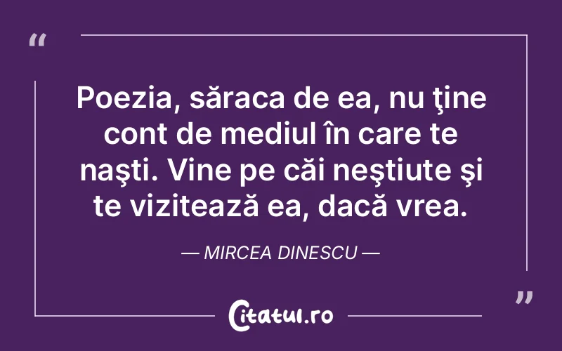 Citat Mircea Dinescu - citate viata