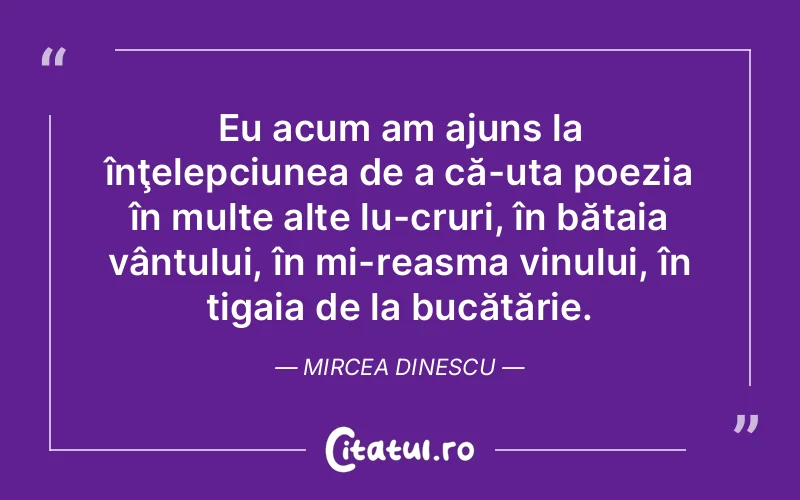 Eu acum am ajuns la înţelepciunea de a că­uta poezia în multe alte lu­cruri, în bătaia vântului, în mi­reasma vinului, în tigaia de la bucătărie. Mircea Dinescu