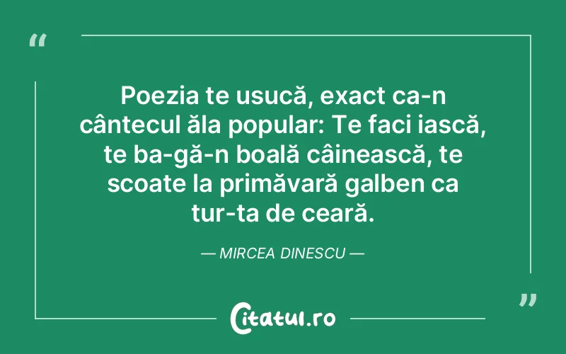 Citat Mircea Dinescu - citate viata
