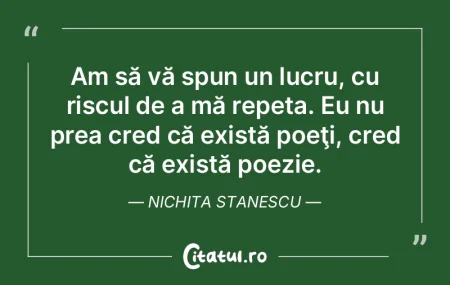 Poezia nu se scrie cu cuvinte. Nichita S... Poezia nu se scrie cu cuvinte. Nichita S...