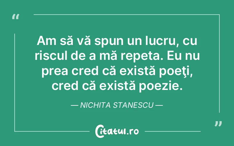 Citat Nichita Stanescu - citate viata