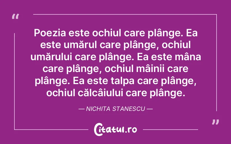 Citat Autor necunoscut - citate viata