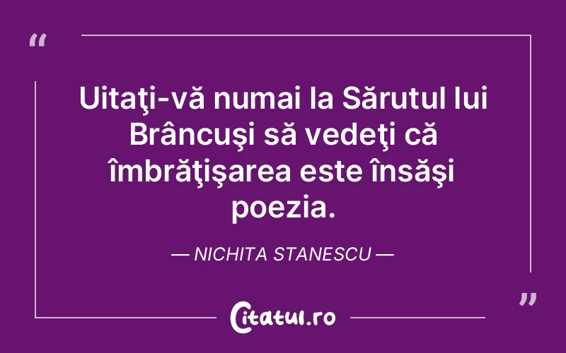 Citat Nichita Stanescu - citate viata
