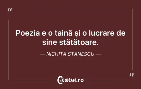Nu poeticul face poezia, ci poezia face ... Nu poeticul face poezia, ci poezia face ...