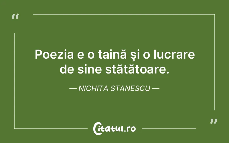 Citat Nichita Stanescu - citate viata
