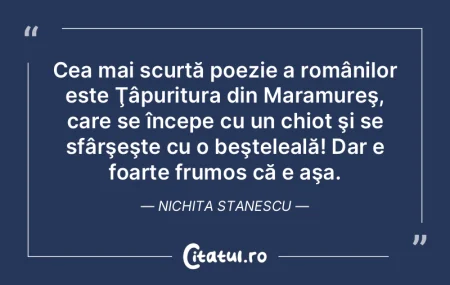 Doar ochiul pictează poemul nescris. Ni... Doar ochiul pictează poemul nescris. Ni...