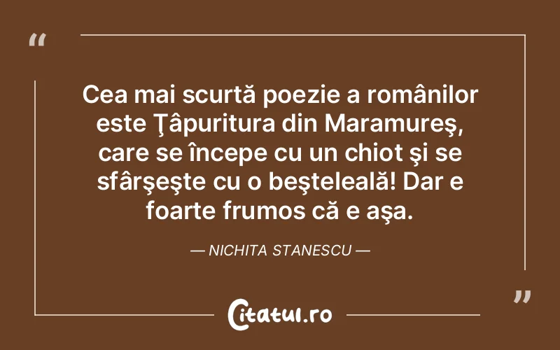 Cea mai scurtă poezie a românilor este Ţâpuritura din Maramureş, care se începe cu un chiot şi se sfârşeşte cu o beşteleală! Dar e foarte frumos că e aşa. Nichita Stanescu