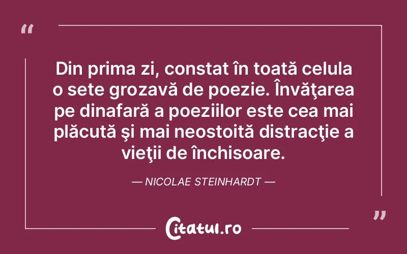 Citat Nicolae Steinha - citate viata