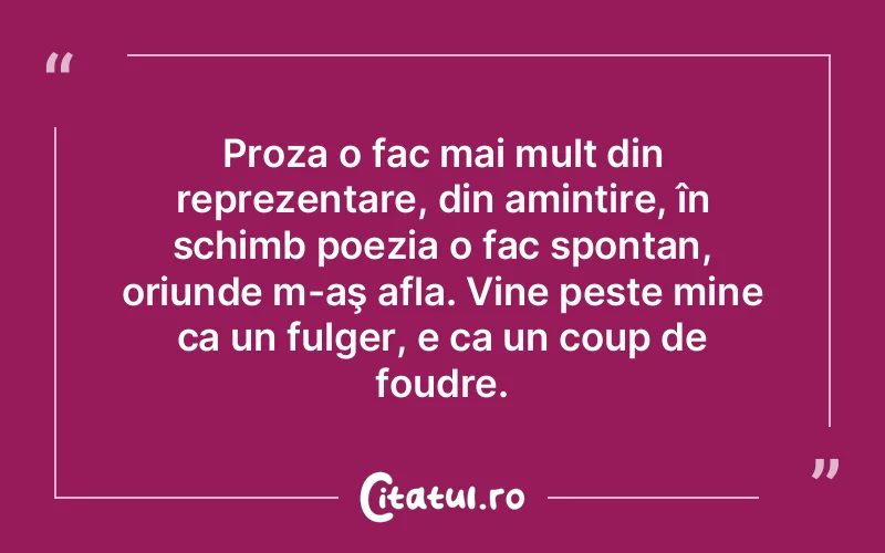 Proza o fac mai mult din reprezentare, din amintire, în schimb poezia o fac spontan, oriunde m-aş afla. Vine peste mine ca un fulger, e ca un coup de foudre.