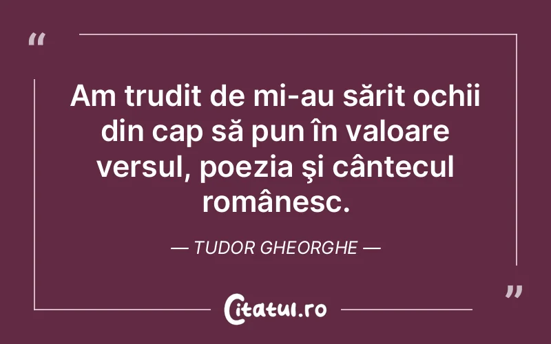 Citat Tudor Gheorghe - citate viata