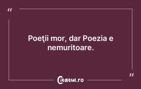 Prin poezie, eu mă caut şi mă găsesc...