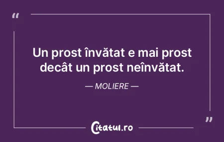 Pe proşti trebuie să îi bagi în seam...