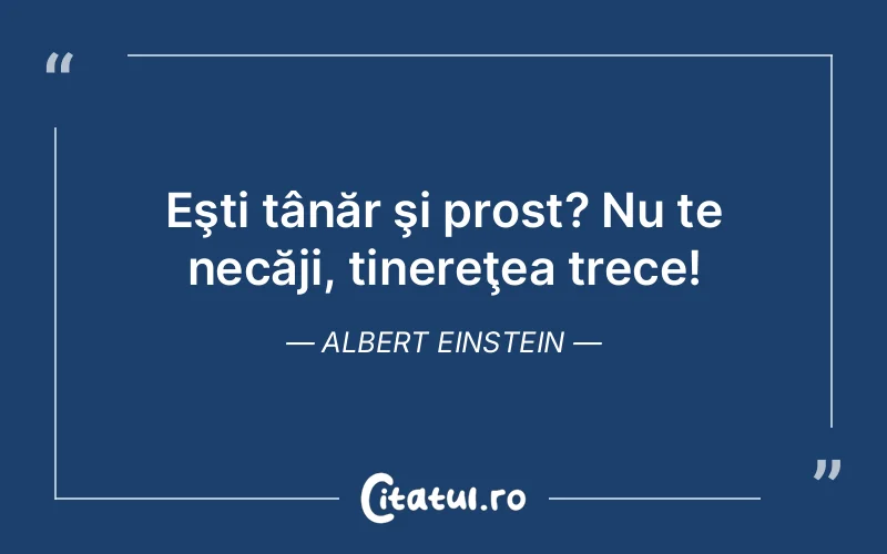 Citat Albert Einstein - citate viata