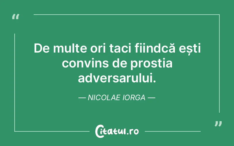 Citat Nicolae Iorga - citate viata